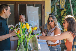 Besucher:innen bei WEIN:GENUSS in Traiskirchen