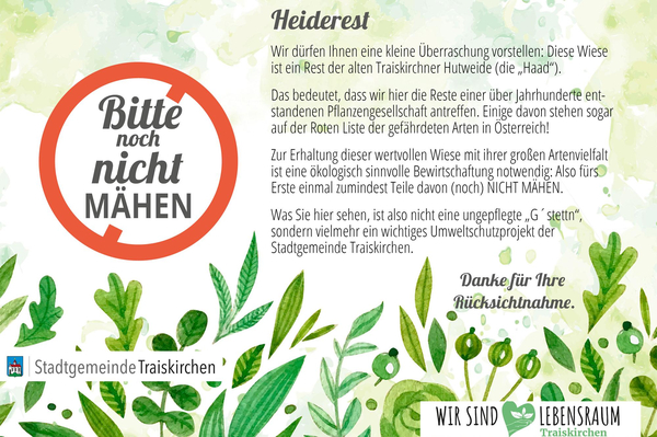 Hinweistafeln: Blumen- und Schmetterlingswiesen.