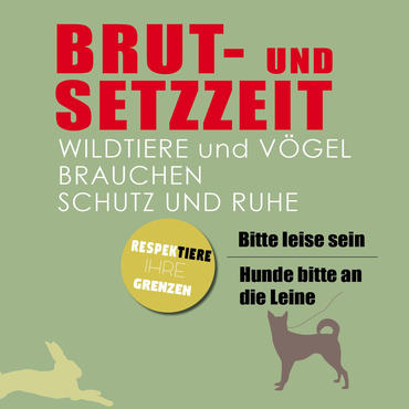 Link zu Rücksicht auf Wildtiere