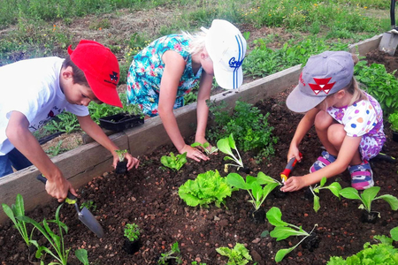 Ferien zu Hause, Kinder beim Gemüsepflanzen.