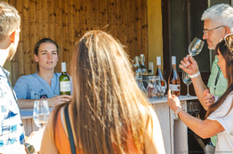 Besucher:innen bei WEIN:GENUSS in Traiskirchen