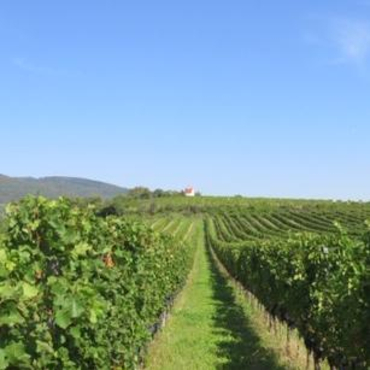 Link zu Weinbauort mit Tradition