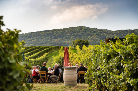 Eine Gruppe Menschen beim Heurigen in den Weinbergen.