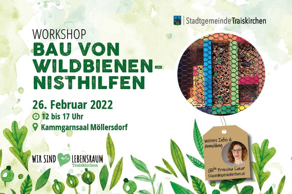 Workshop am 26. Februar: Bau von Wildbienen-Nisthilfen.