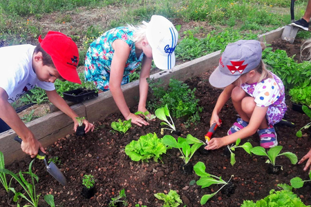Kinder säen Pflanzen im Garten der Begegnung.
