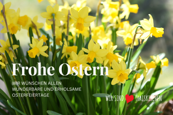 Grafik mit Aufschrift "Frohe Ostern", im Hintergrund ein Blumenstock mit gelben Blüten
