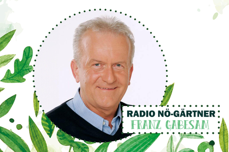 Portrait Franz Gabesam