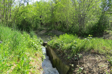 Wiener Neustädter Kanal.
