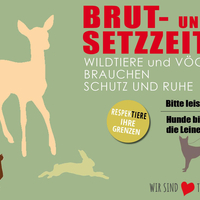 Achtsamkeit in der Brut- und Setzzeit