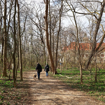 Zwei Personen spazieren mit einem hund durch den Schlosspark, das Schloss ist im Hintergrund