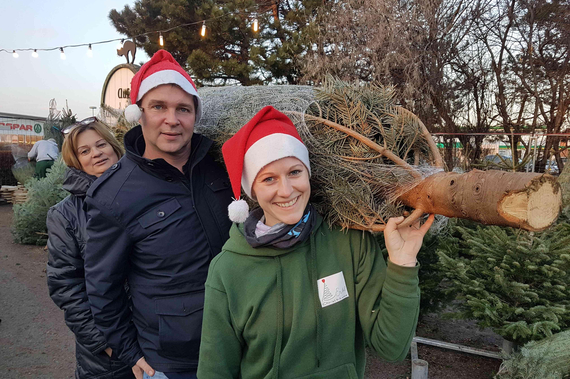 Sozialamtsleiterin Gabriele Duffek, Bgm. Andreas Babler und Stefanie Ertl tragen einen Christbaum, der für sozial benachteiligte Kinder gespendet wird