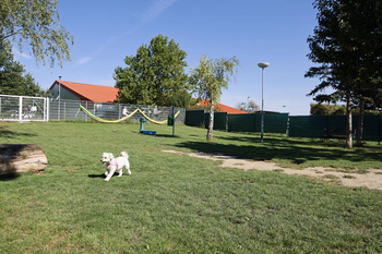 Hundeauslaufzone.