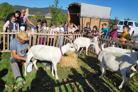 Eine Gruppe Schüler*innen bei der Ziegenexkursion im Garten der Begegnung.
