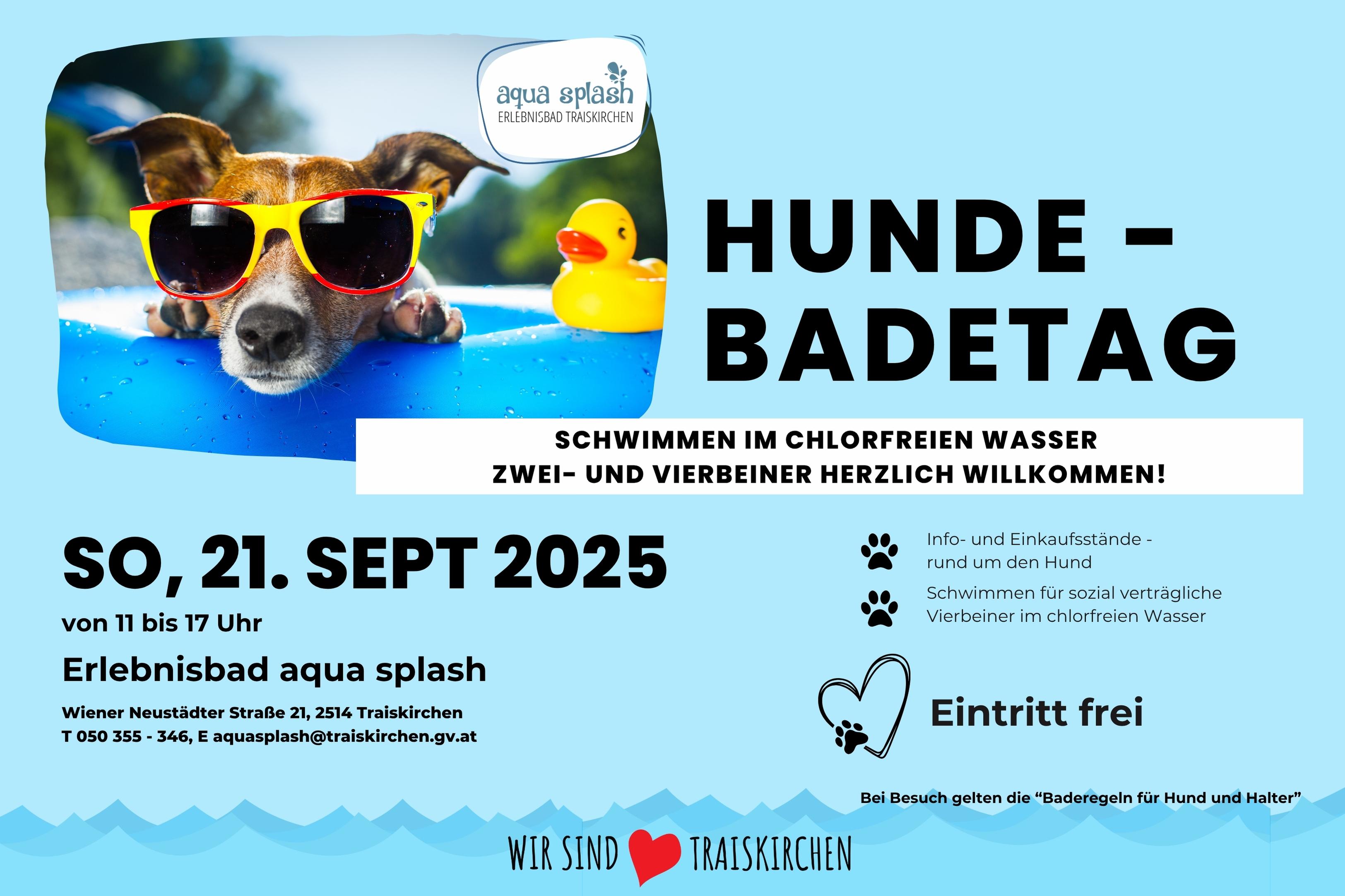 Hundebadetag