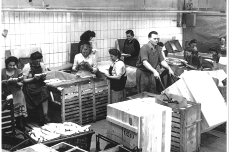 Vor allem Frauen waren in der Kammgarnspinnerei tätig © Stadtarchiv Traiskirchen