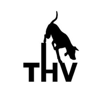 Logo Traiskirchner Hundeverein.