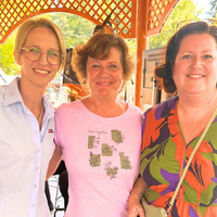 Traiskirchen on air: Vom Weinfest zur Sommertour