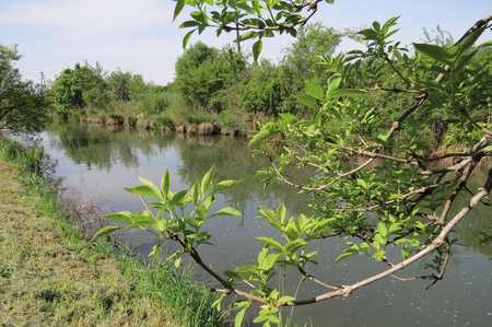 Blick auf den Wiener Neustädter Kanal.