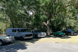 Mehrere US-Cars im Stadtpark