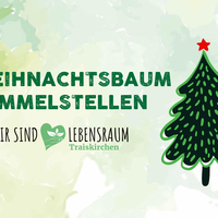 Wir sammeln Weihnachtsbäume
