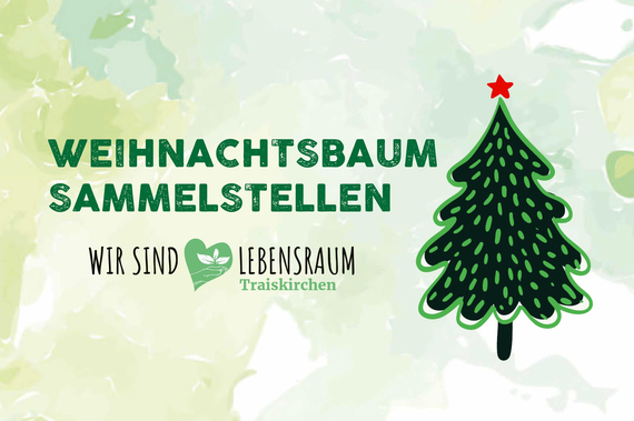 Grafik: Wir sammeln Christbäume.