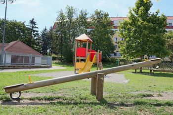 Holzwippe. 
