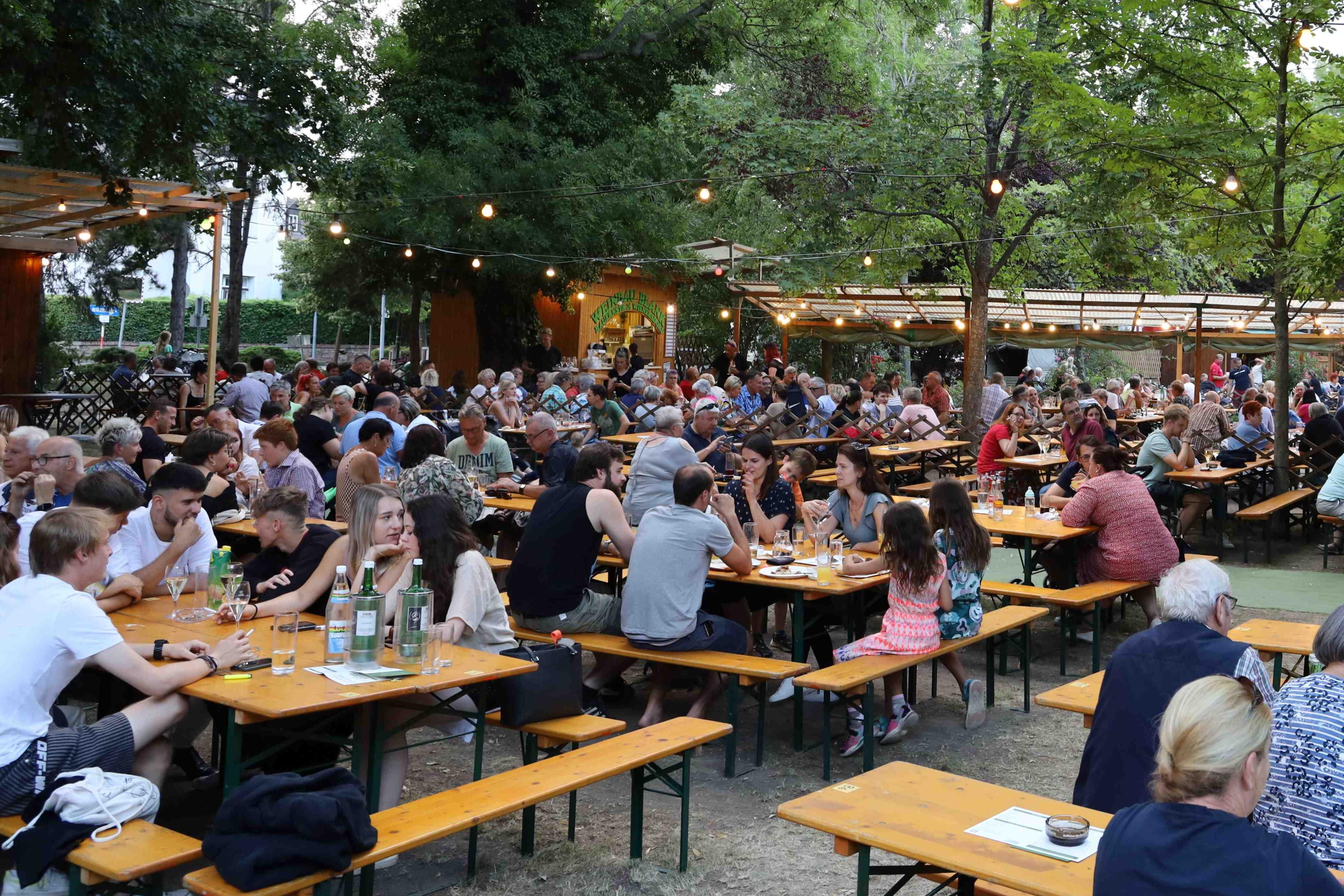 Traiskirchner Weinfest