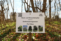 Ein Foto das Schildes "Baum- und Strauchlehrpfad" des Dorferneuerungsvereines Tribuswinkel