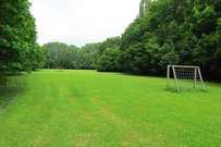 Große Wiese mit Fußballtor