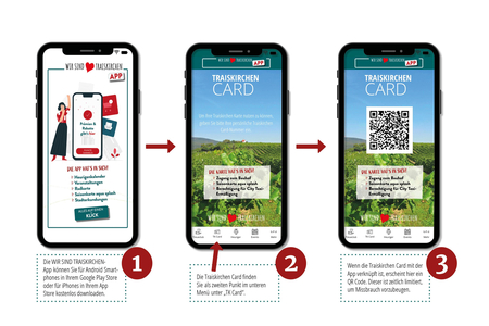 Grafiken der Traiskirchen App