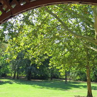 Blick vom Pavillon ins Grüne.