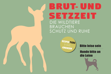 Grafik Brut- und Setzzeit